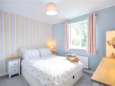 Picture 21